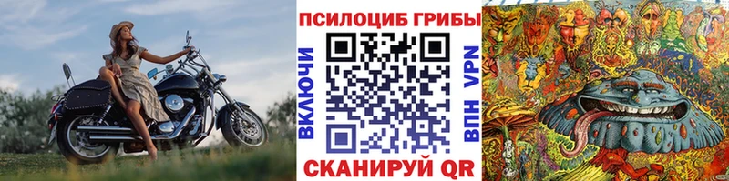Галлюциногенные грибы мицелий  Пудож 